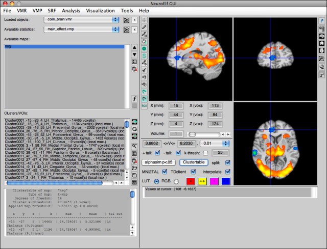 NeuroElf Viewer (full mode with stats)